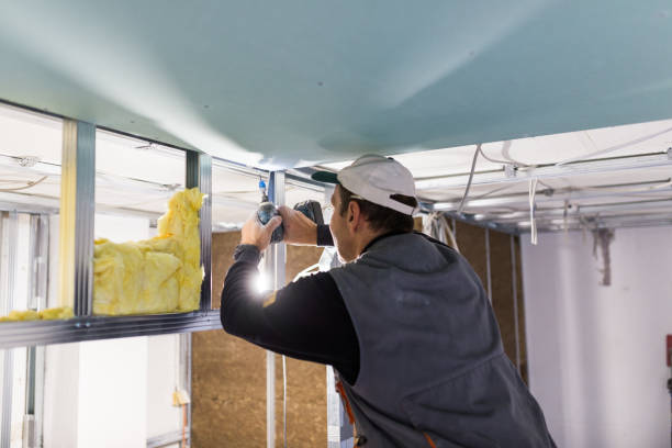 Best Insulation for Specific Applications in Christmas, FL