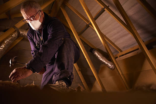 Best Commercial Insulation in Christmas, FL